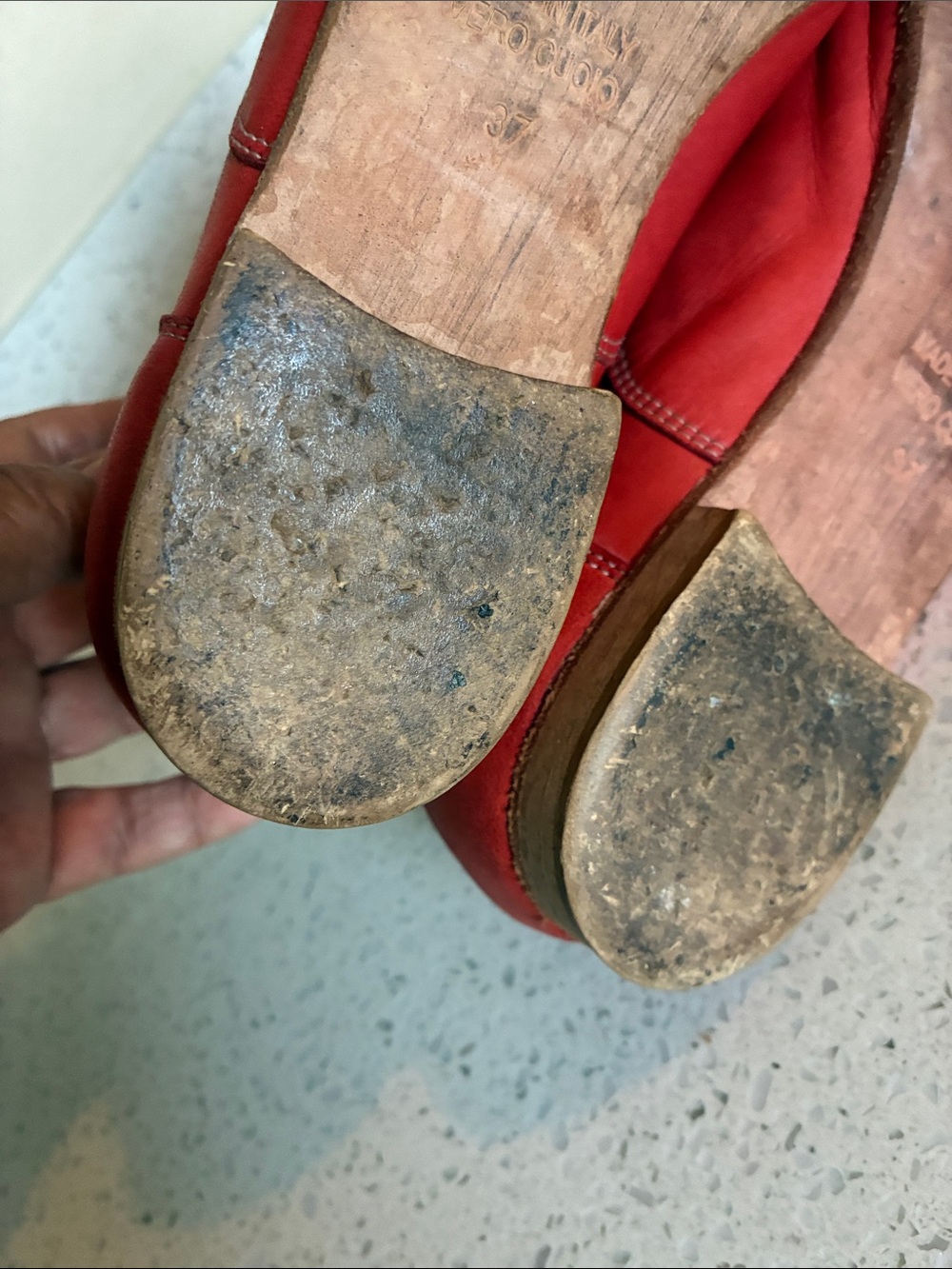 Studio pollini - Picture 7 of 8